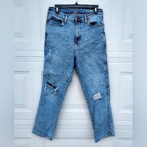 Arizona Jean Company Light Blue Skinny Jeans